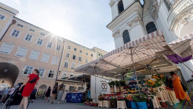 fortschritts-kompass-1747128816180-maerkte_gruenmarkt