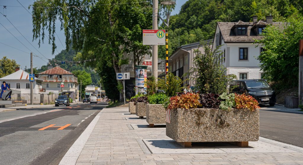 20250618-DSC02042-2