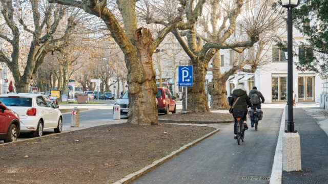 20251219-DSC05428